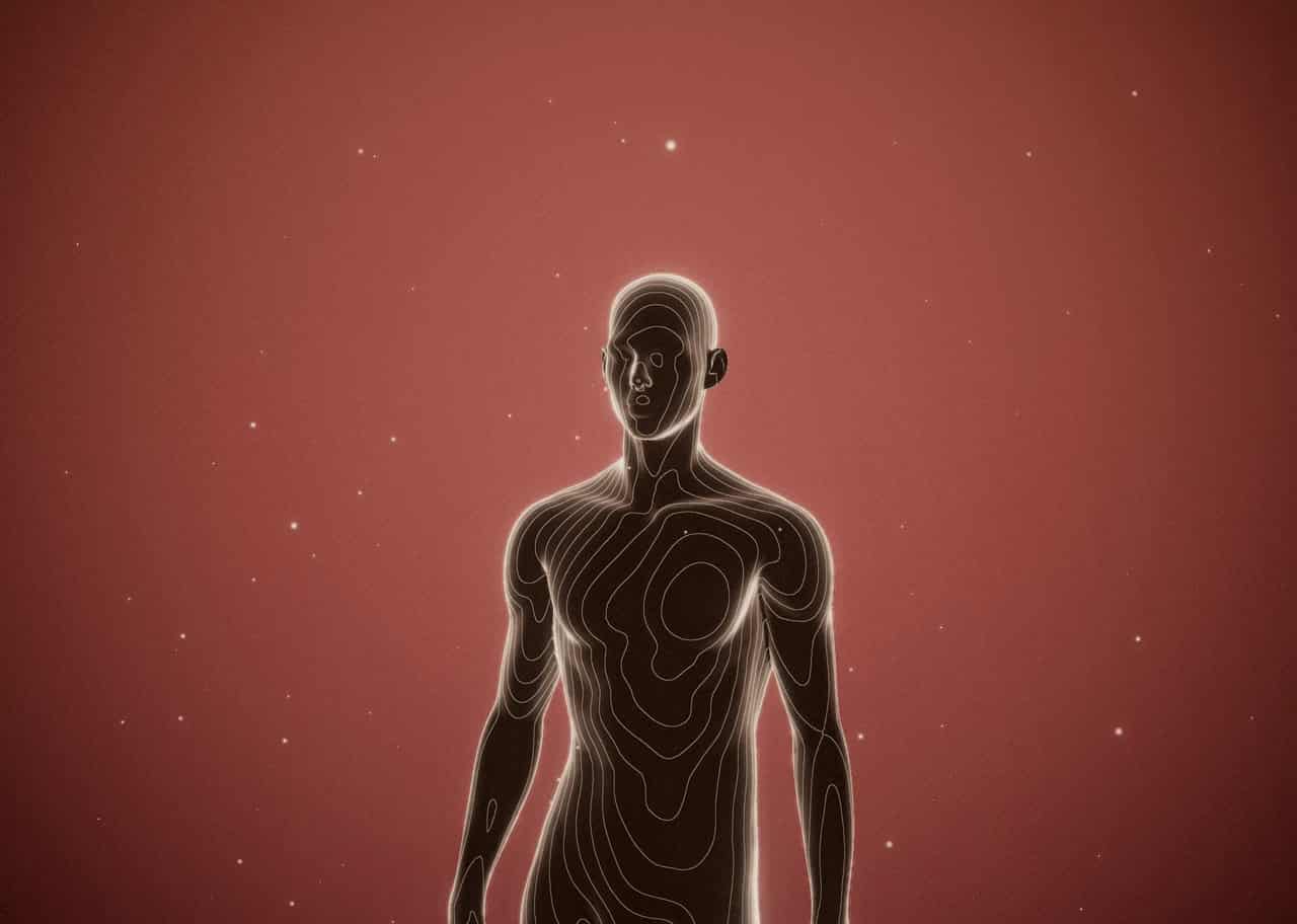 Contour Anatomy 004