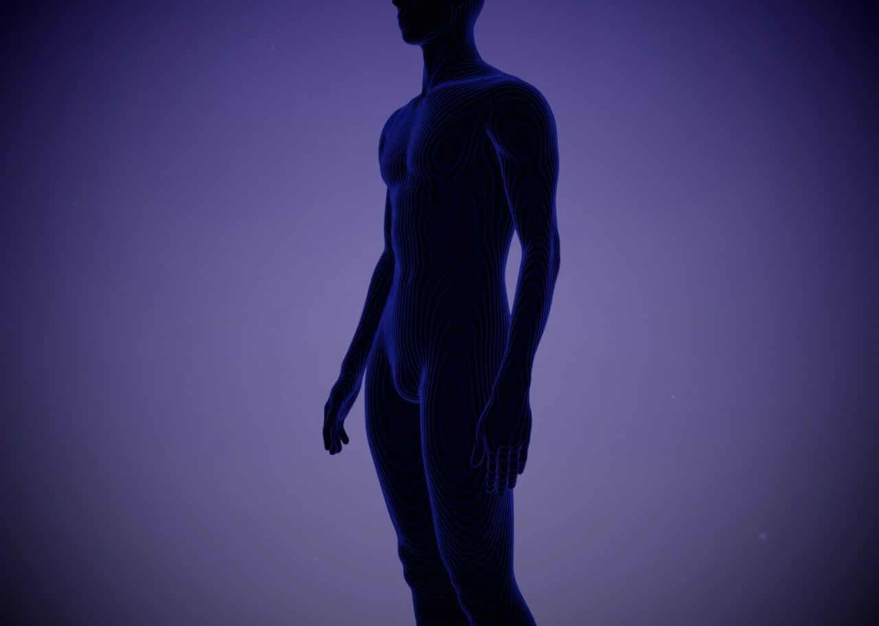 Contour Anatomy 001