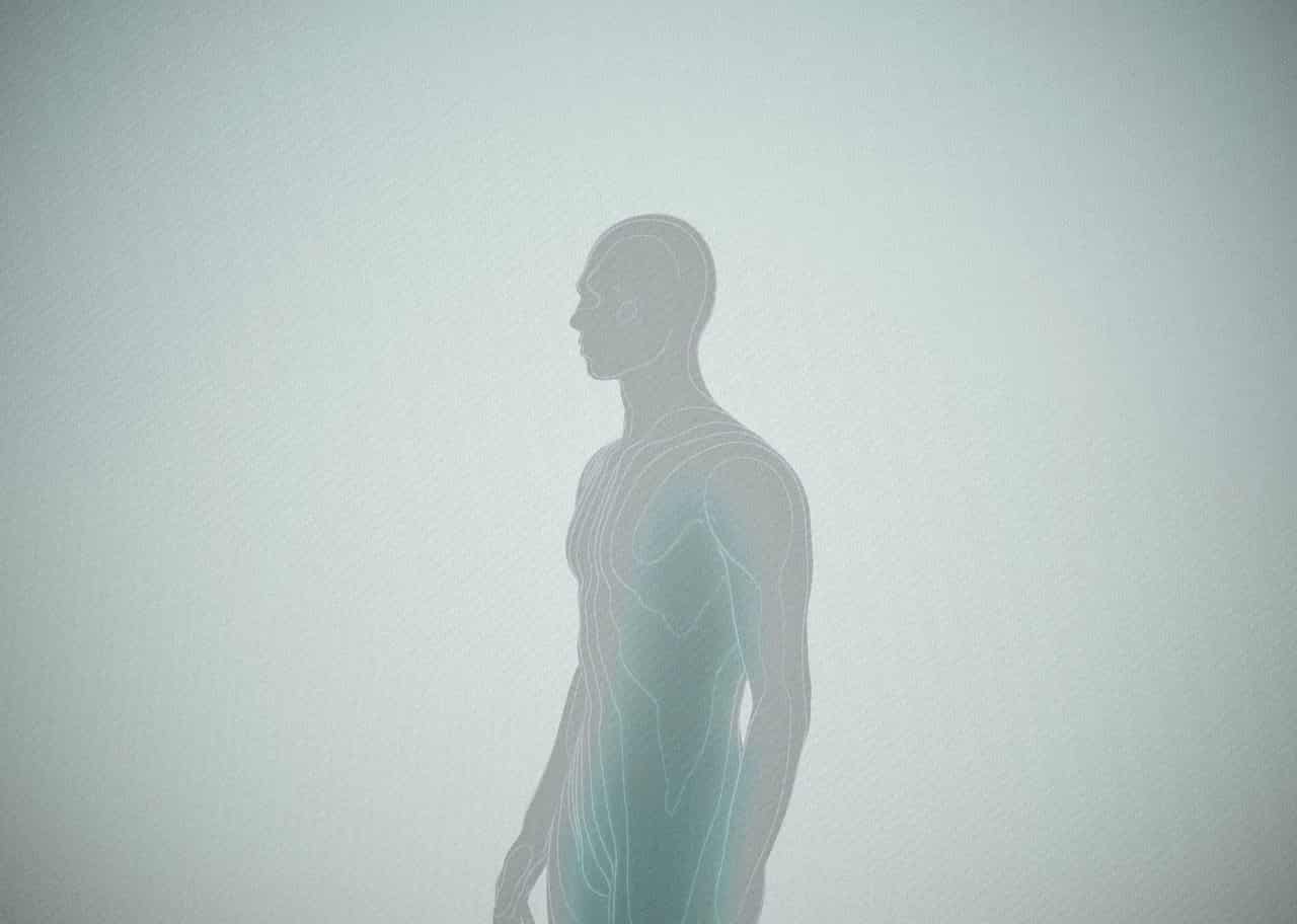 Contour Anatomy 002