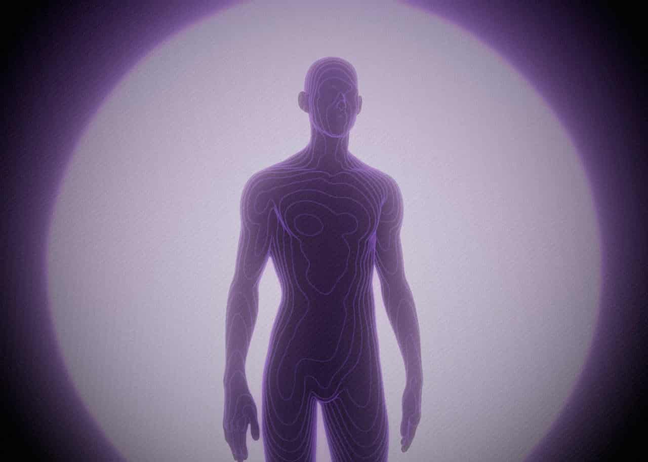 Contour Anatomy 003