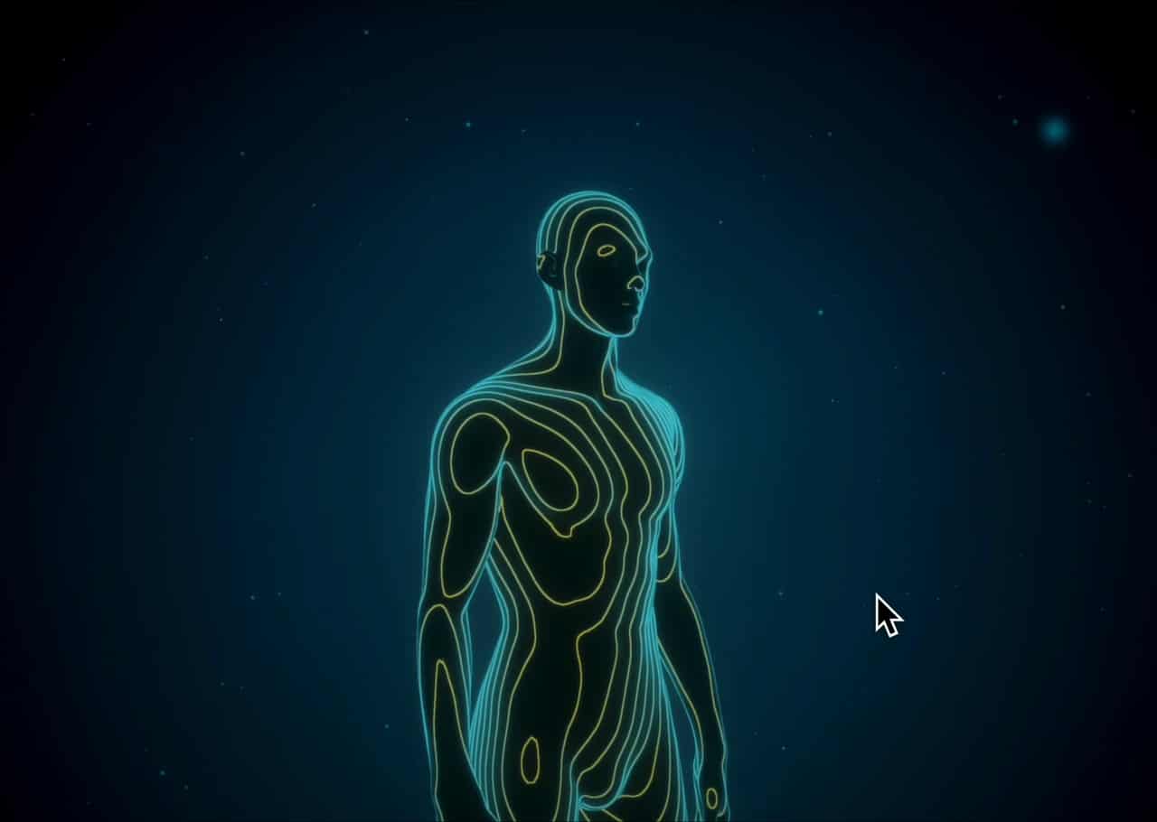 Contour Anatomy