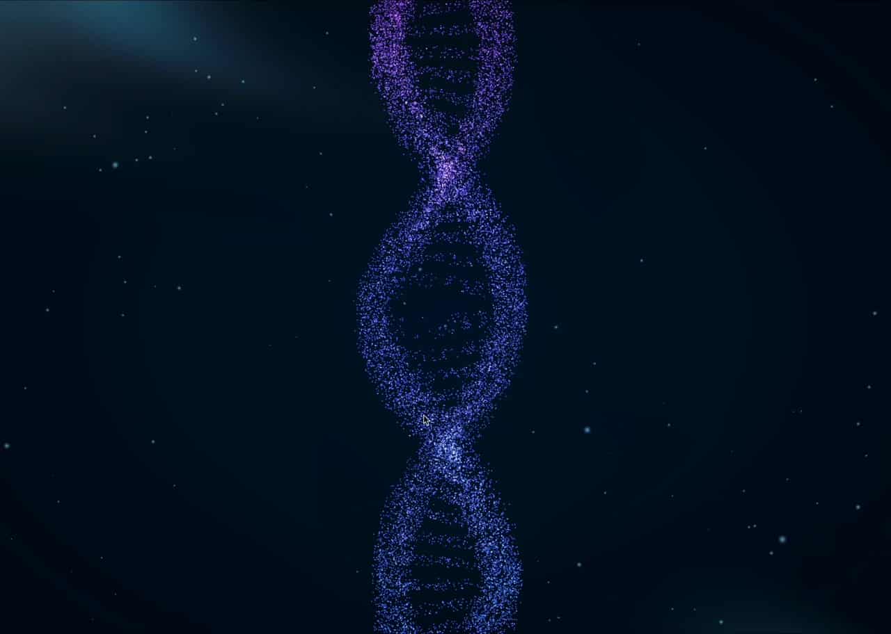 DNA Helix