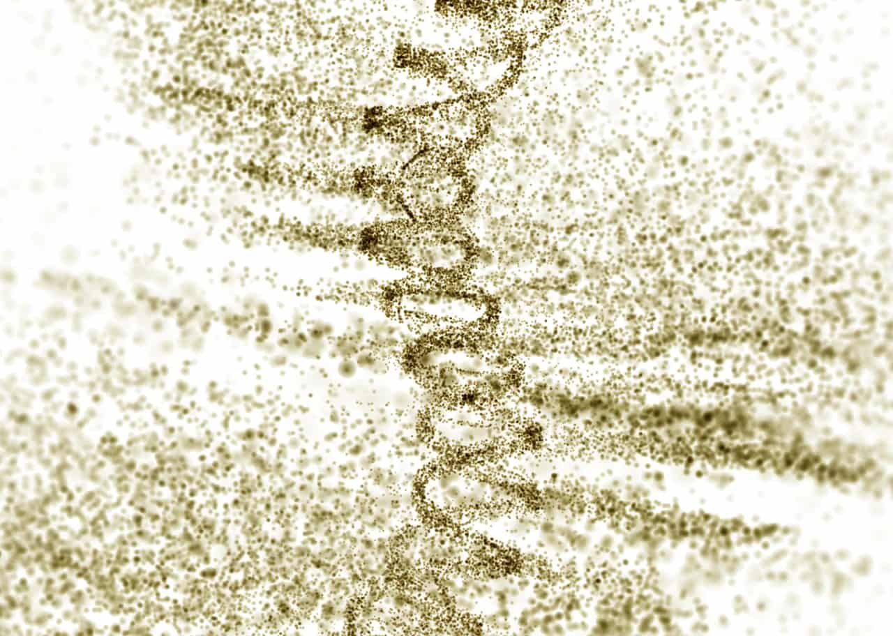 DNA Ink 003
