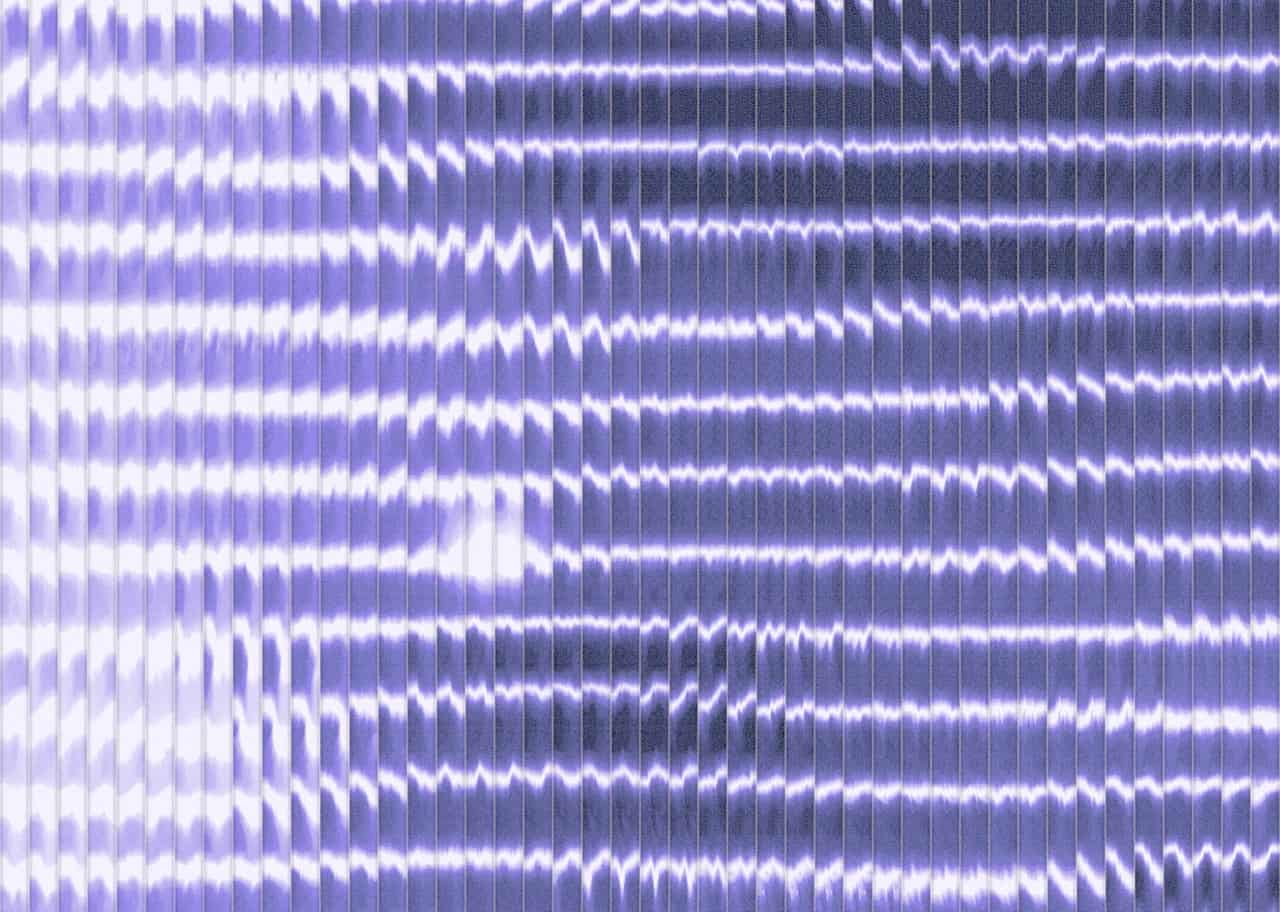Fluted Veil 008