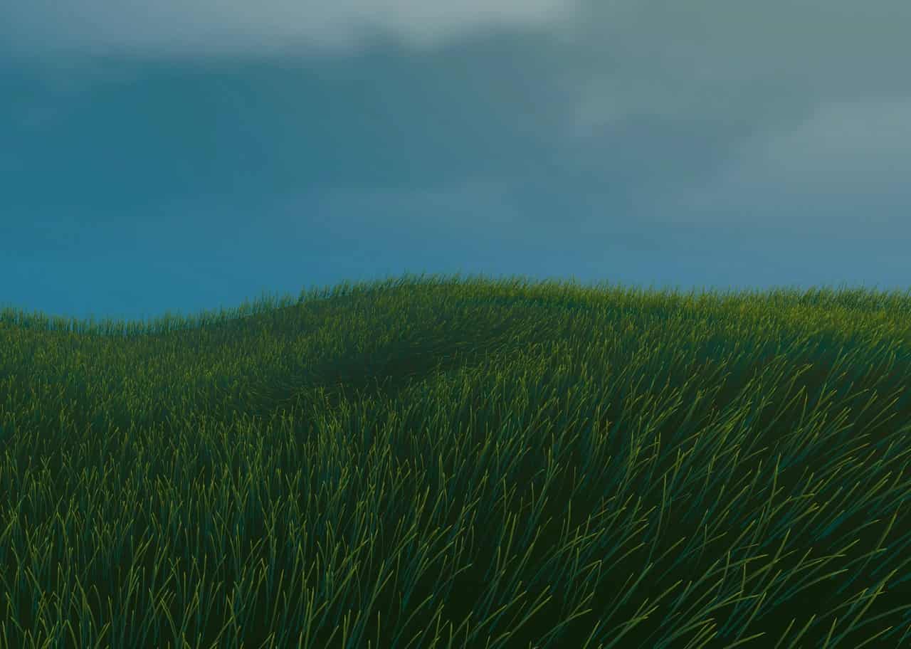 Grass Shader 004