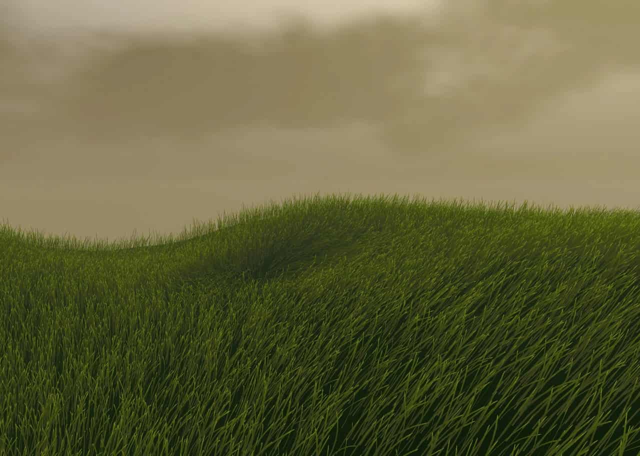 Grass Shader 007
