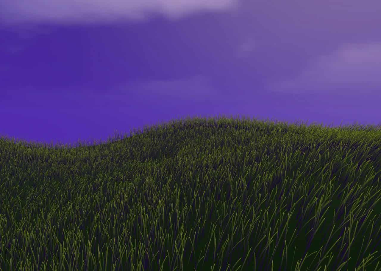 Grass Shader 003