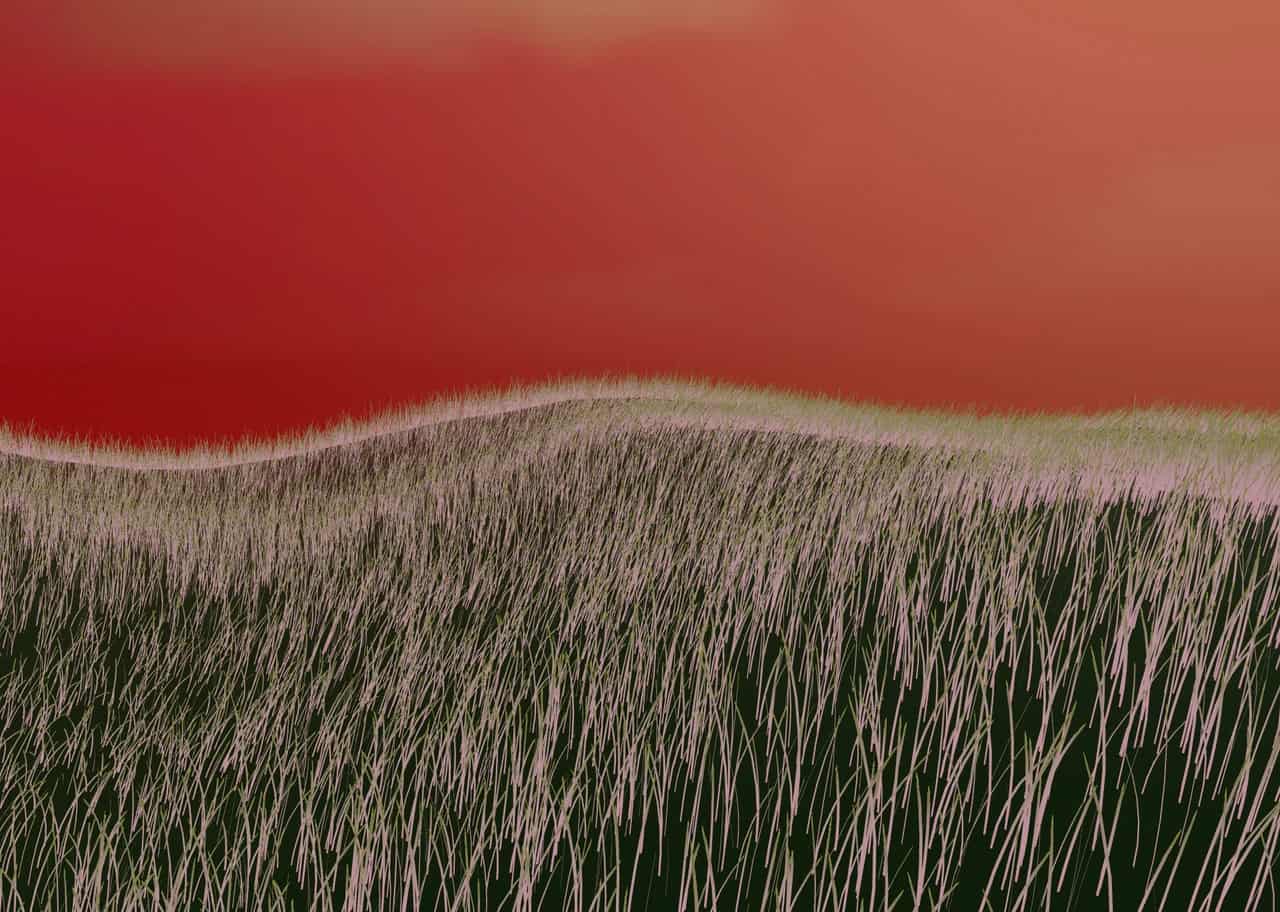 Grass Shader 006