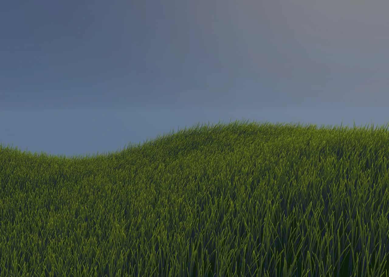 Grass Shader 002