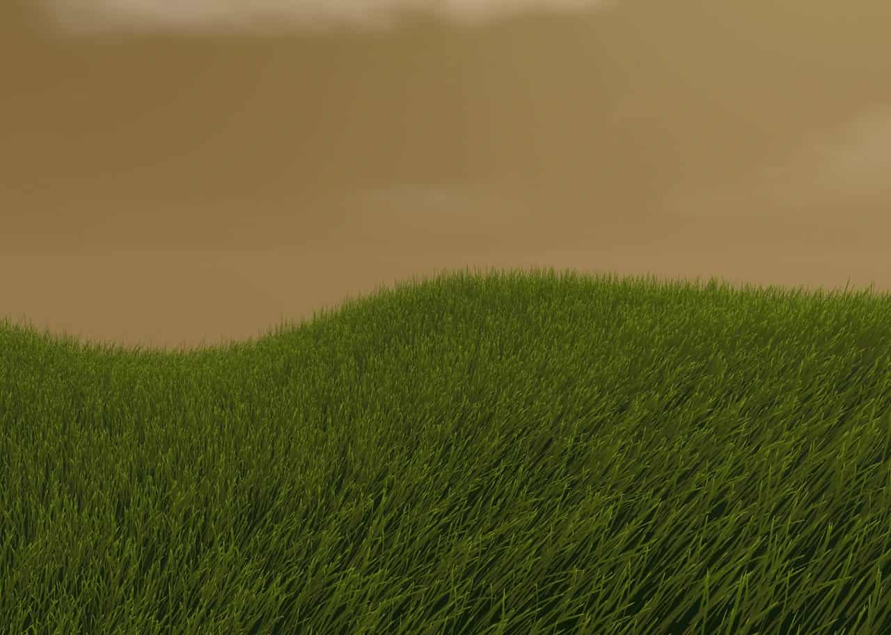 Grass Shader 005