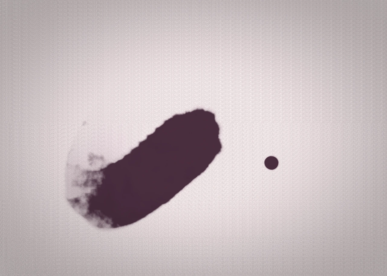 Ink Brush 004