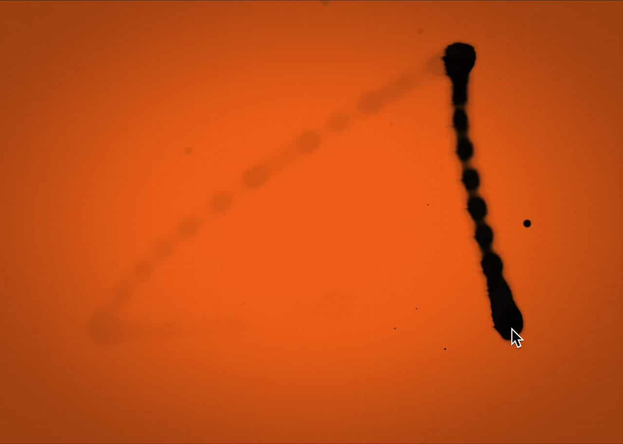 Ink Brush