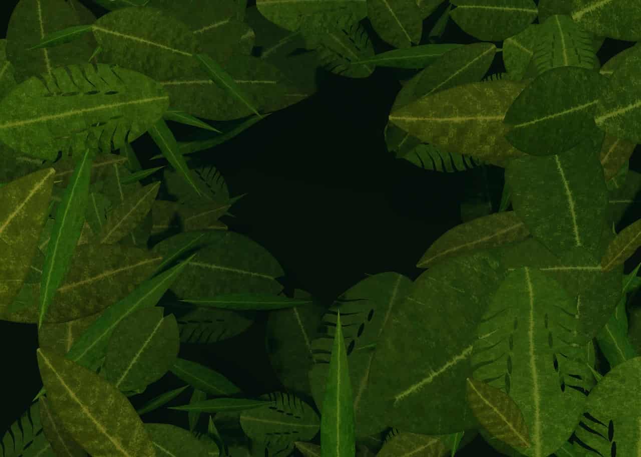 Jungle Canopy 001