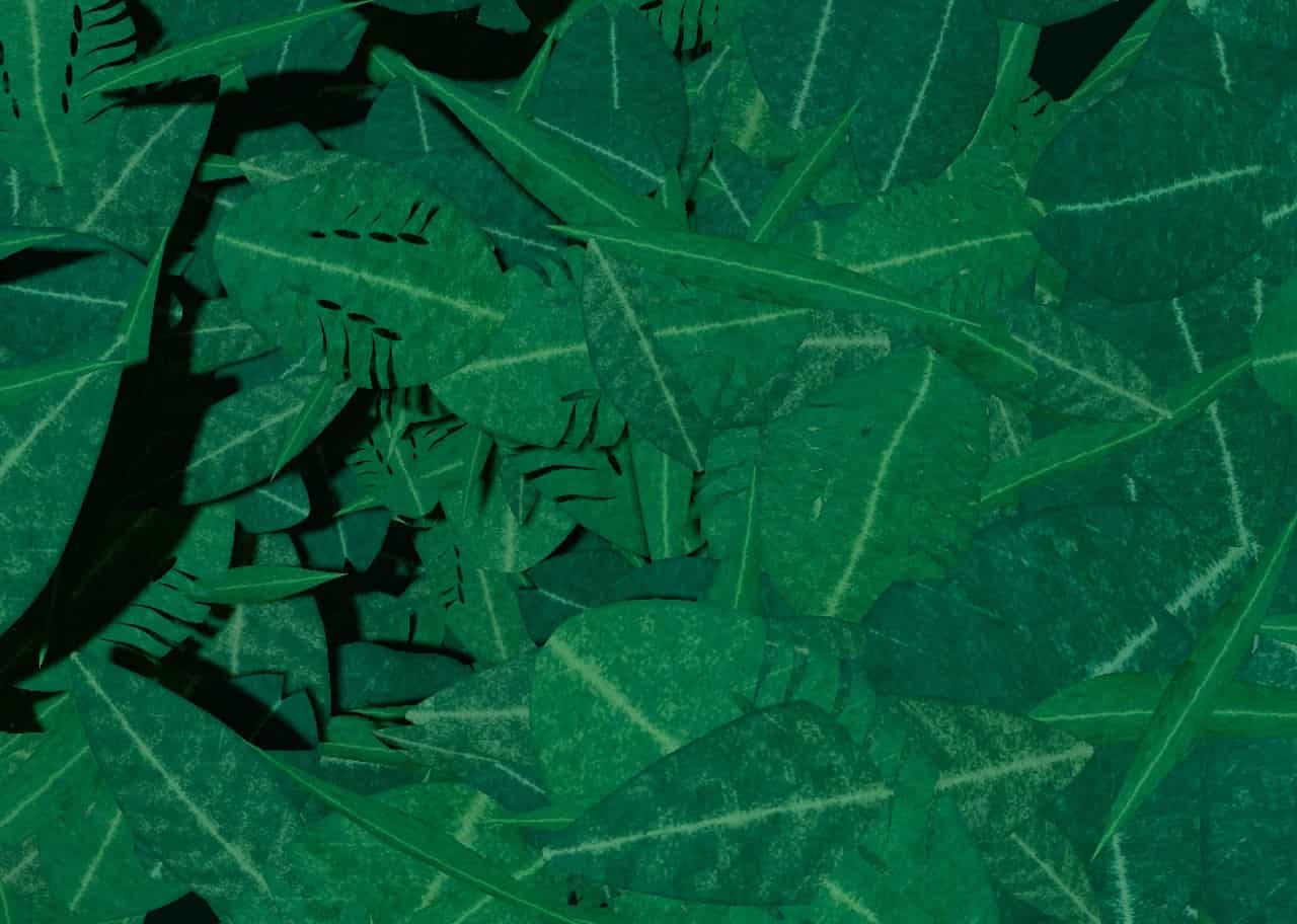Jungle Canopy 002