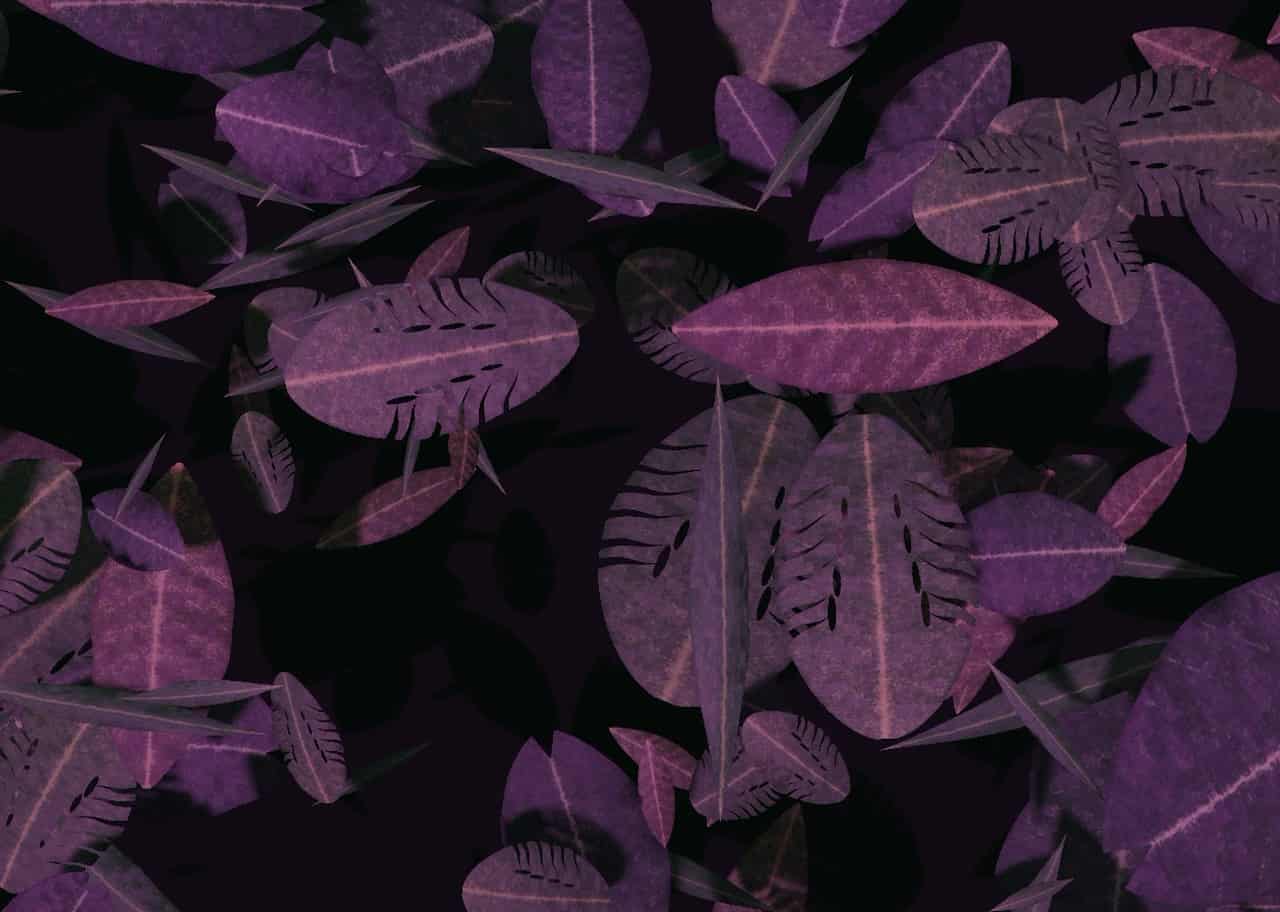 Jungle Canopy 007