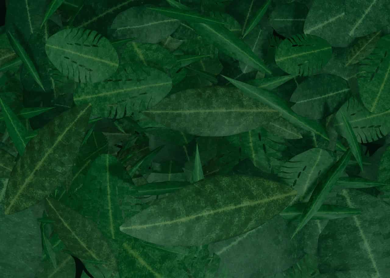 Jungle Canopy 004
