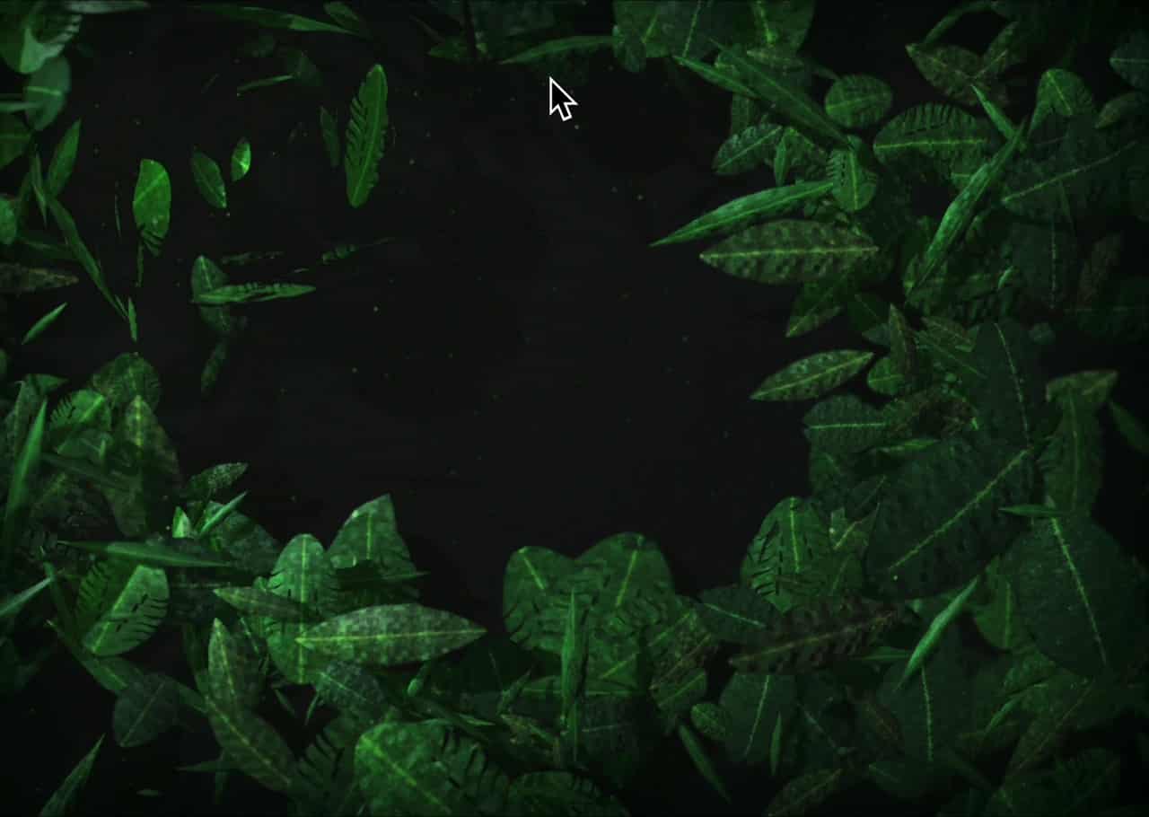 Jungle Canopy