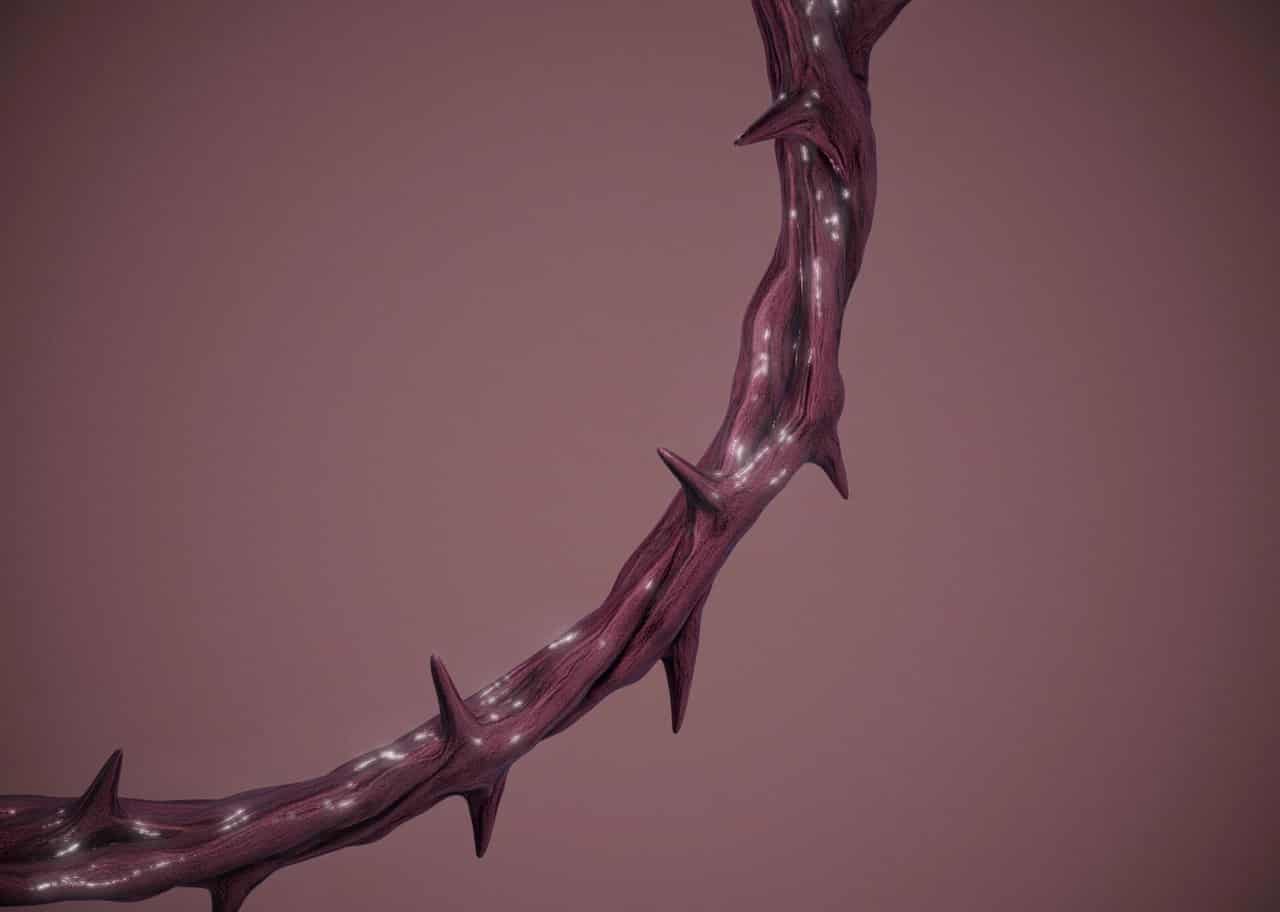 Thorned Halo 001