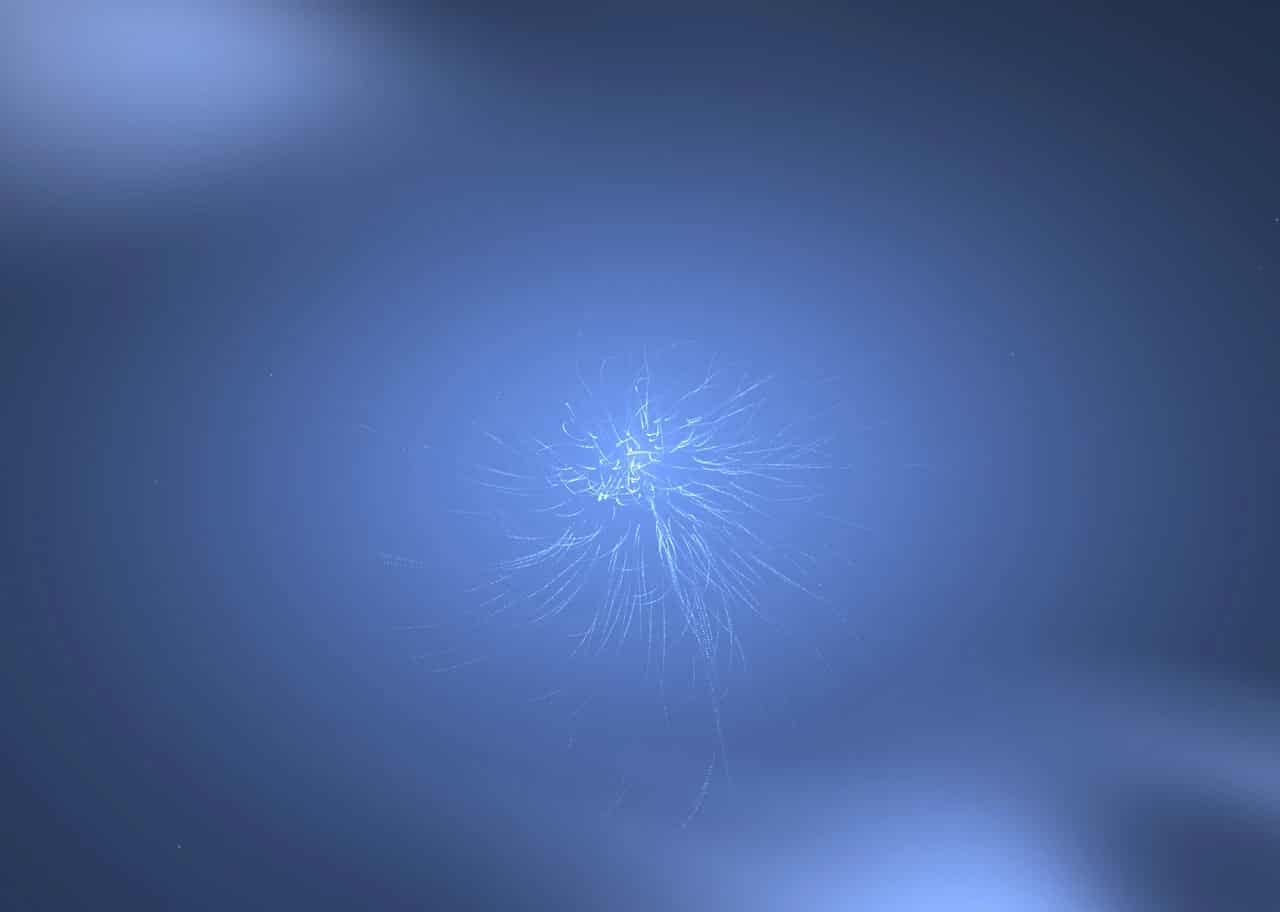 Vortex 001