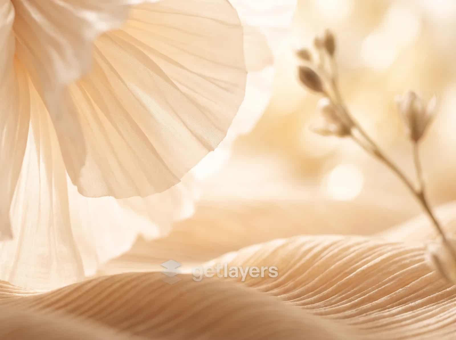 Beige Petal Dunes