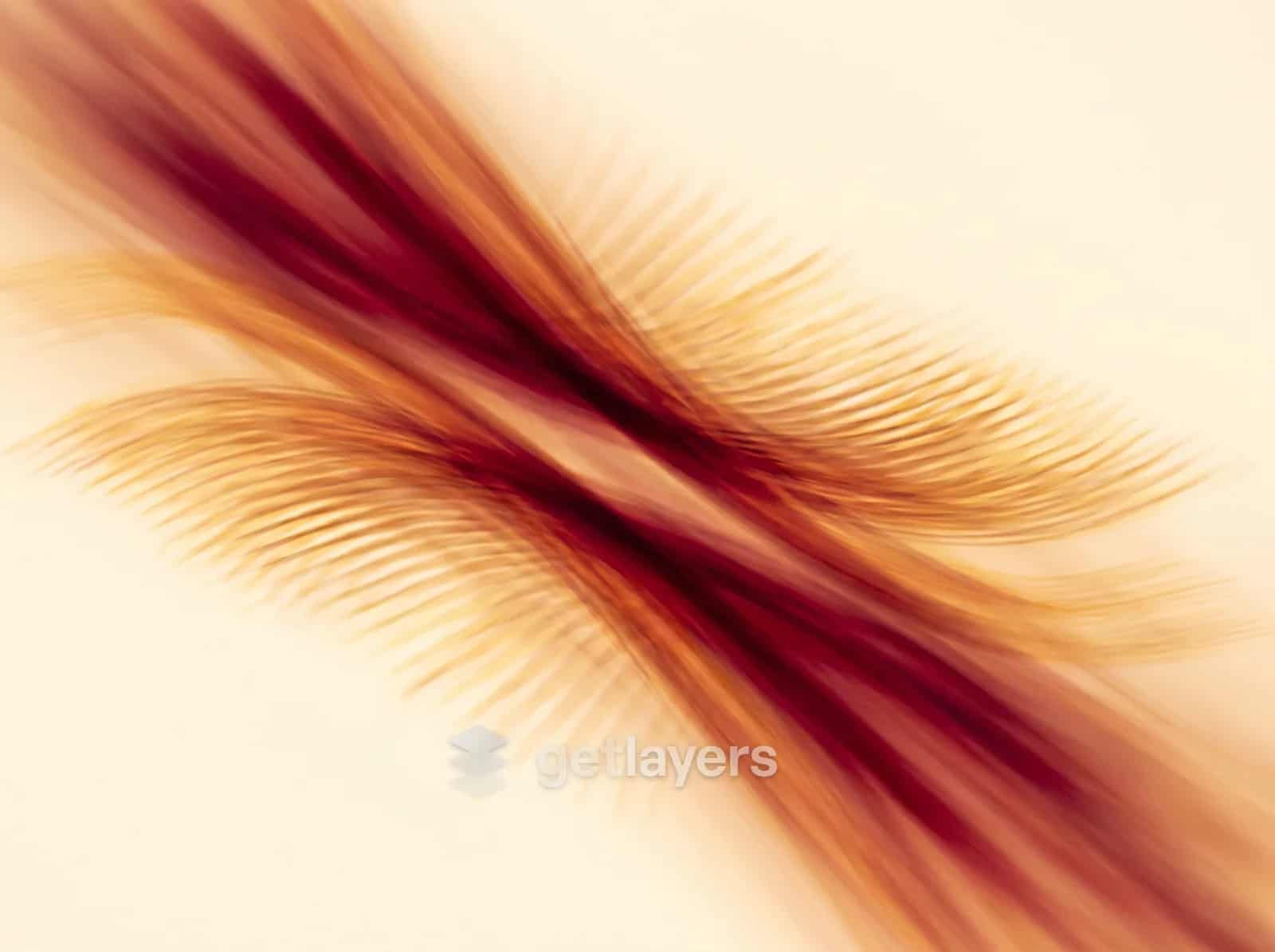 Burgundy Feather Streak