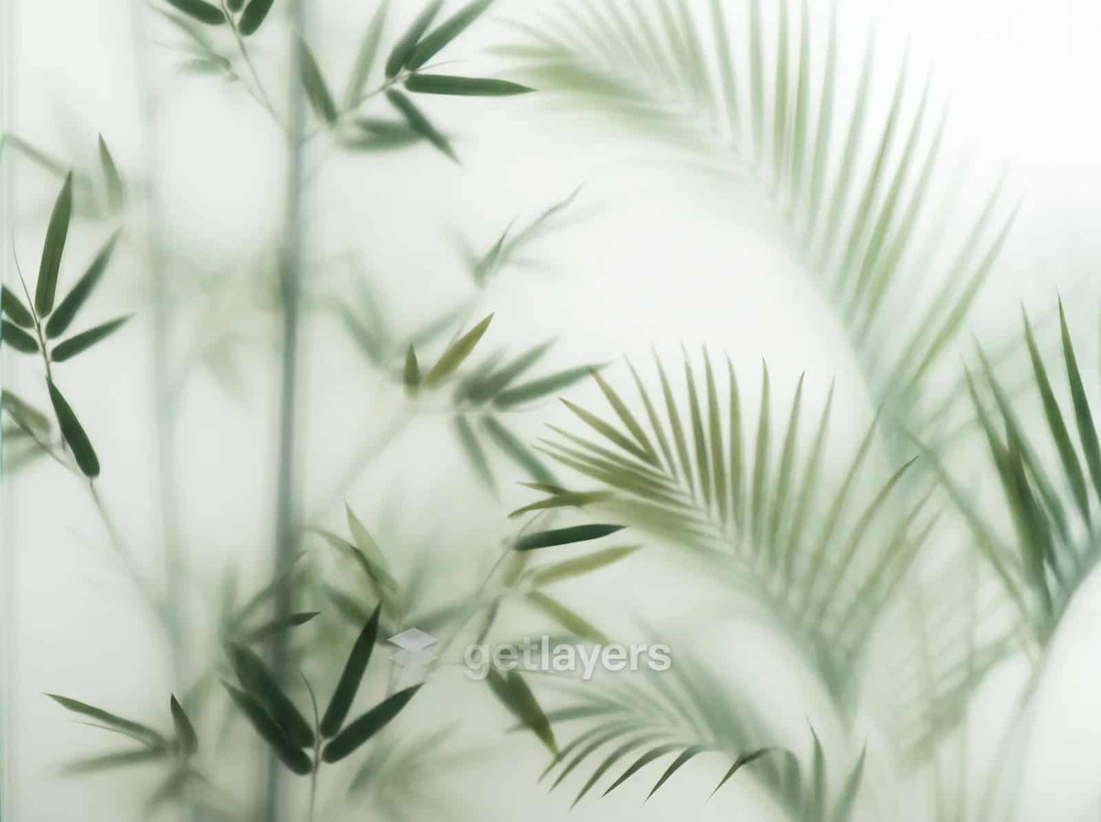 Frosted Bamboo Palms