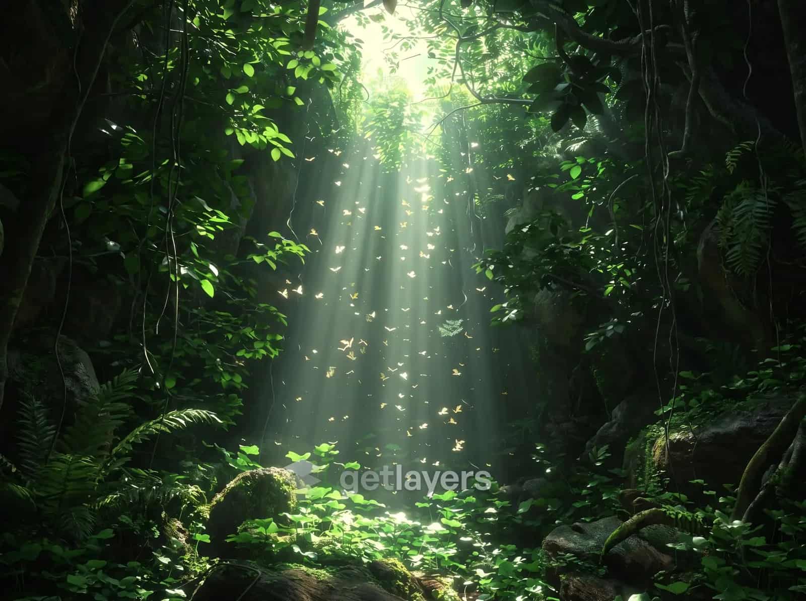 Jungle Light Rays