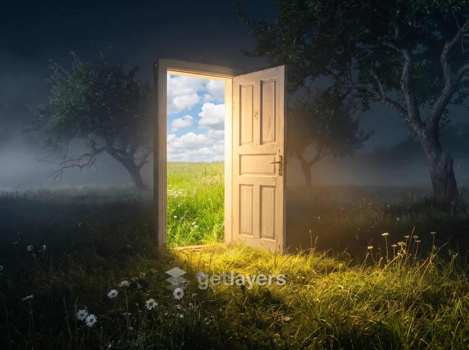 Night Door Meadow