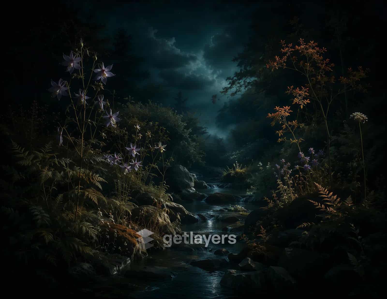 Night Stream