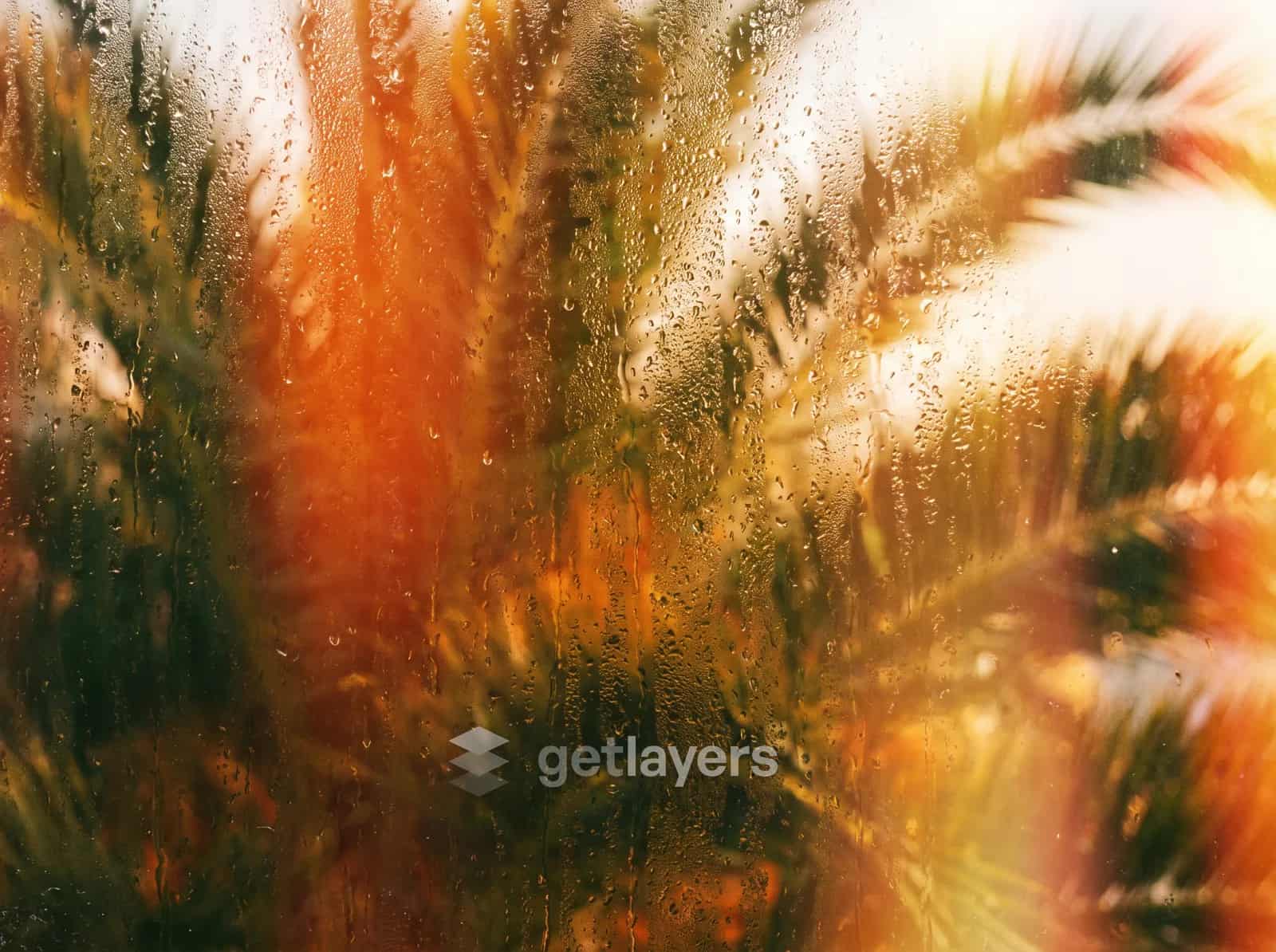 Rainy Palm Glass