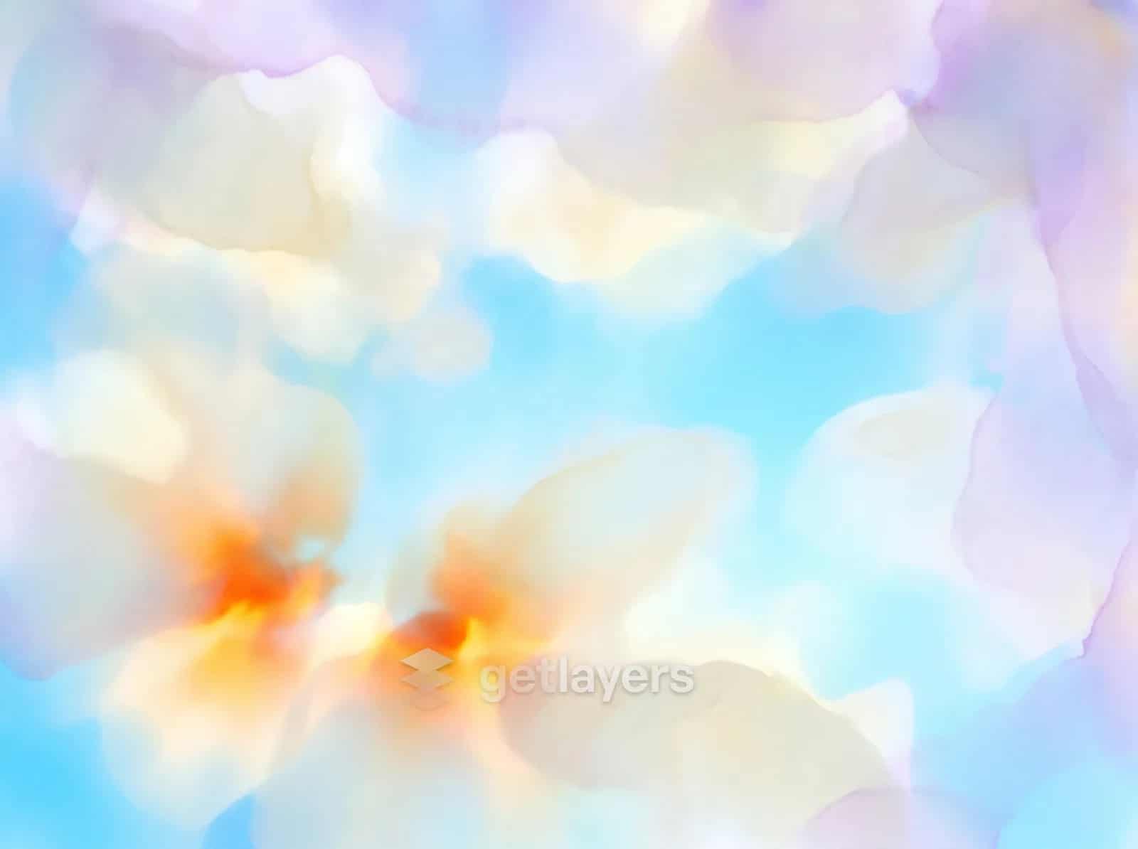 Sky Orange Blossoms