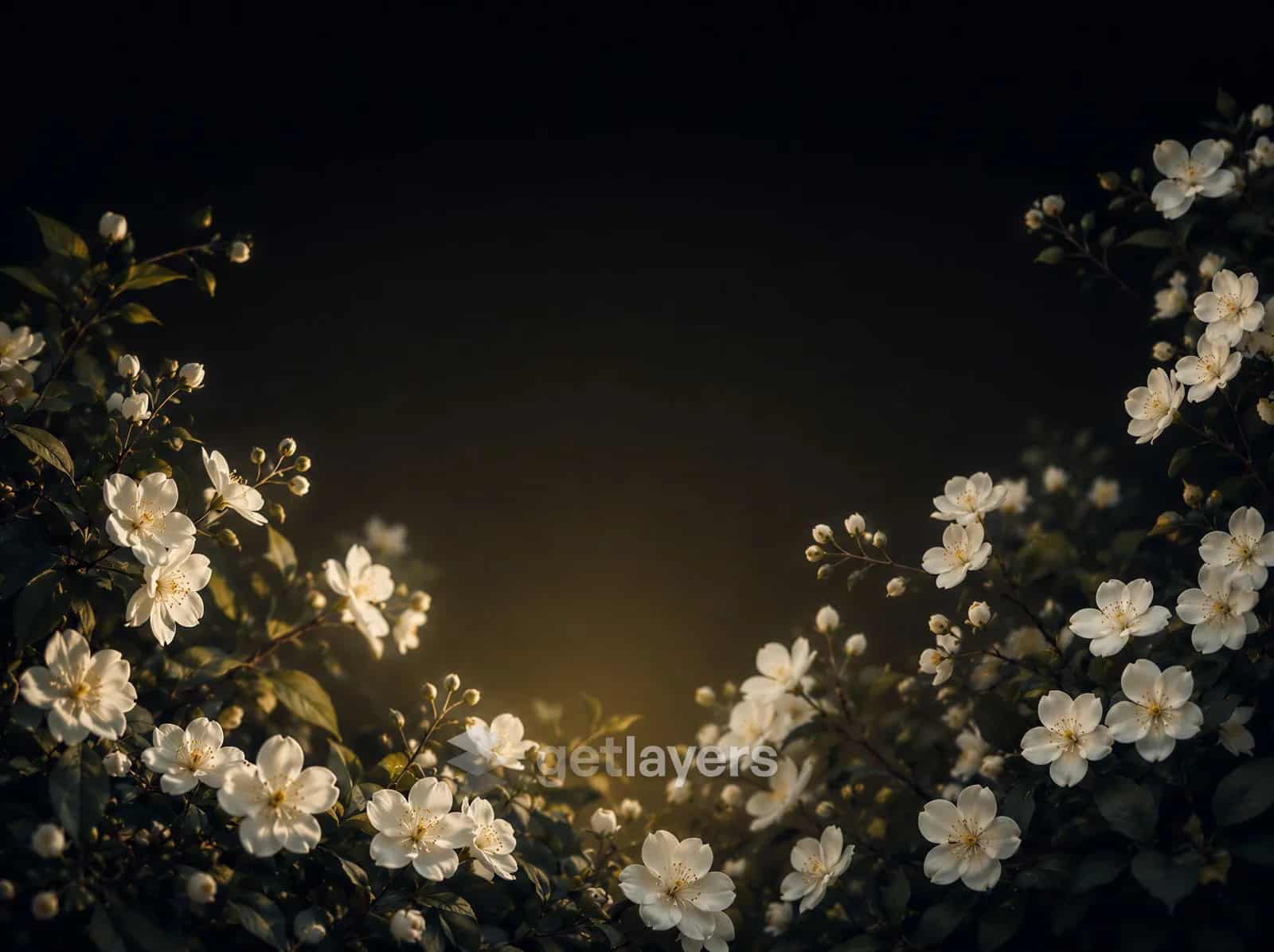 White Blossoms