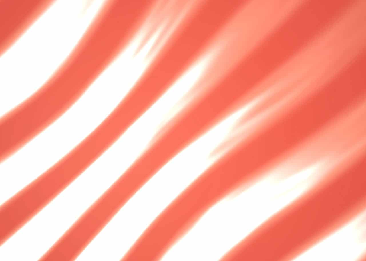 Fenestra 002