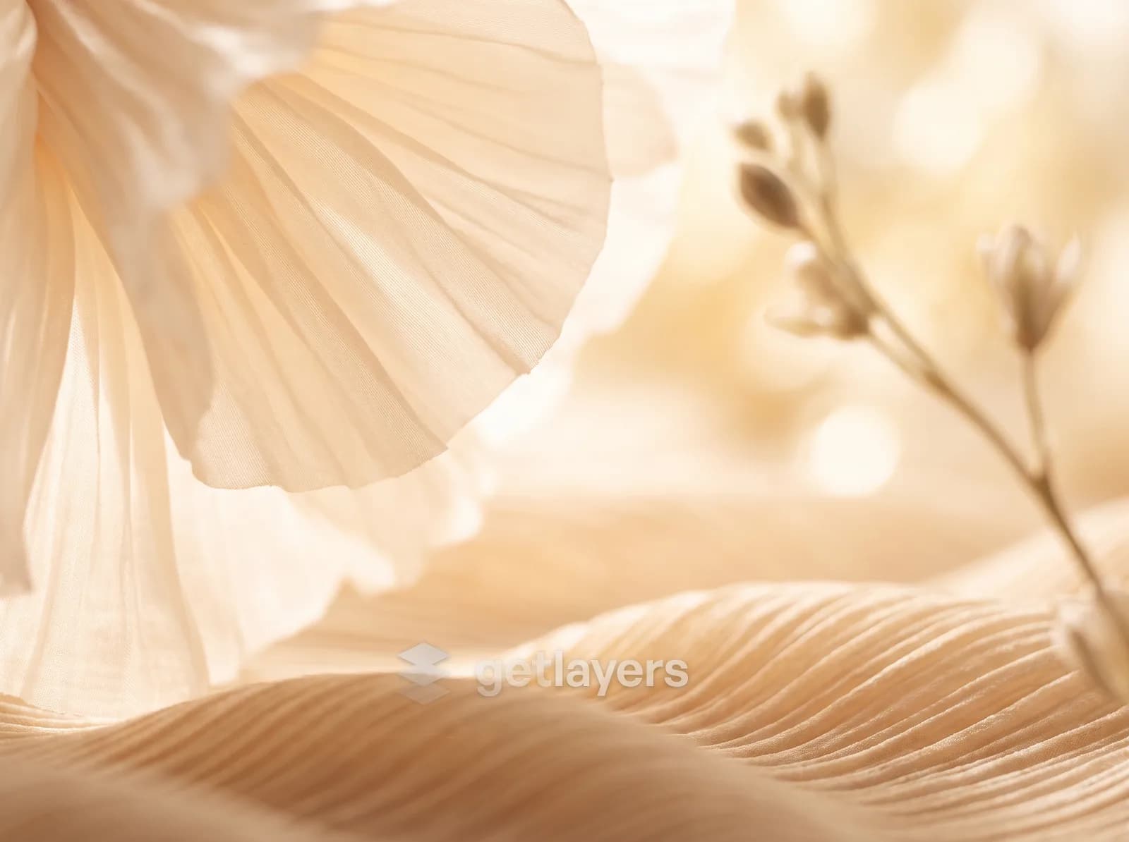 Beige Petal Dunes