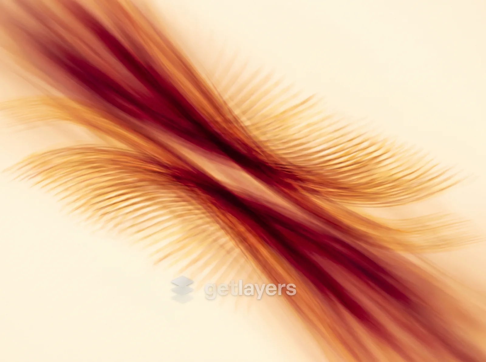 Burgundy Feather Streak