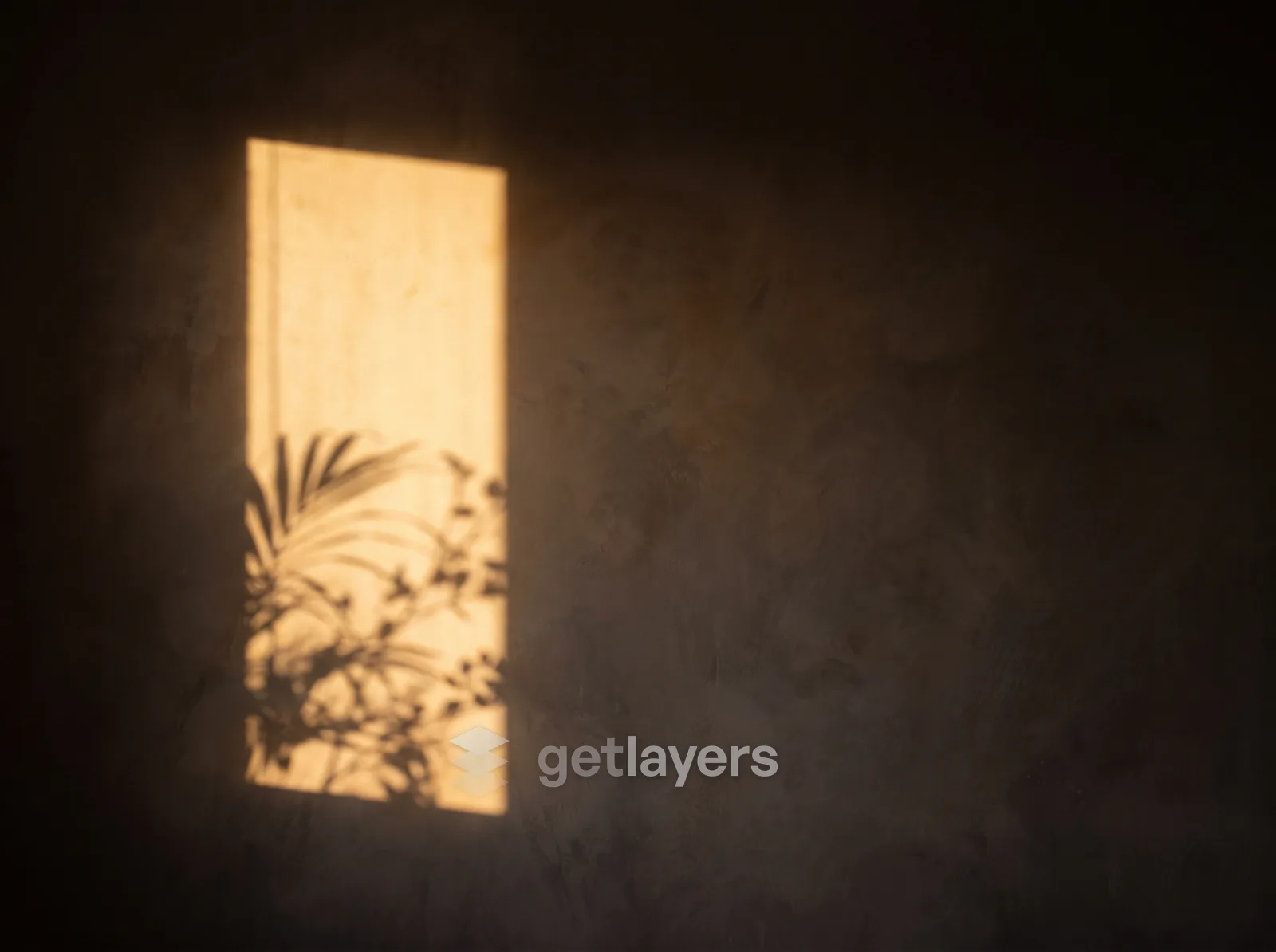 Amber Window Shadow