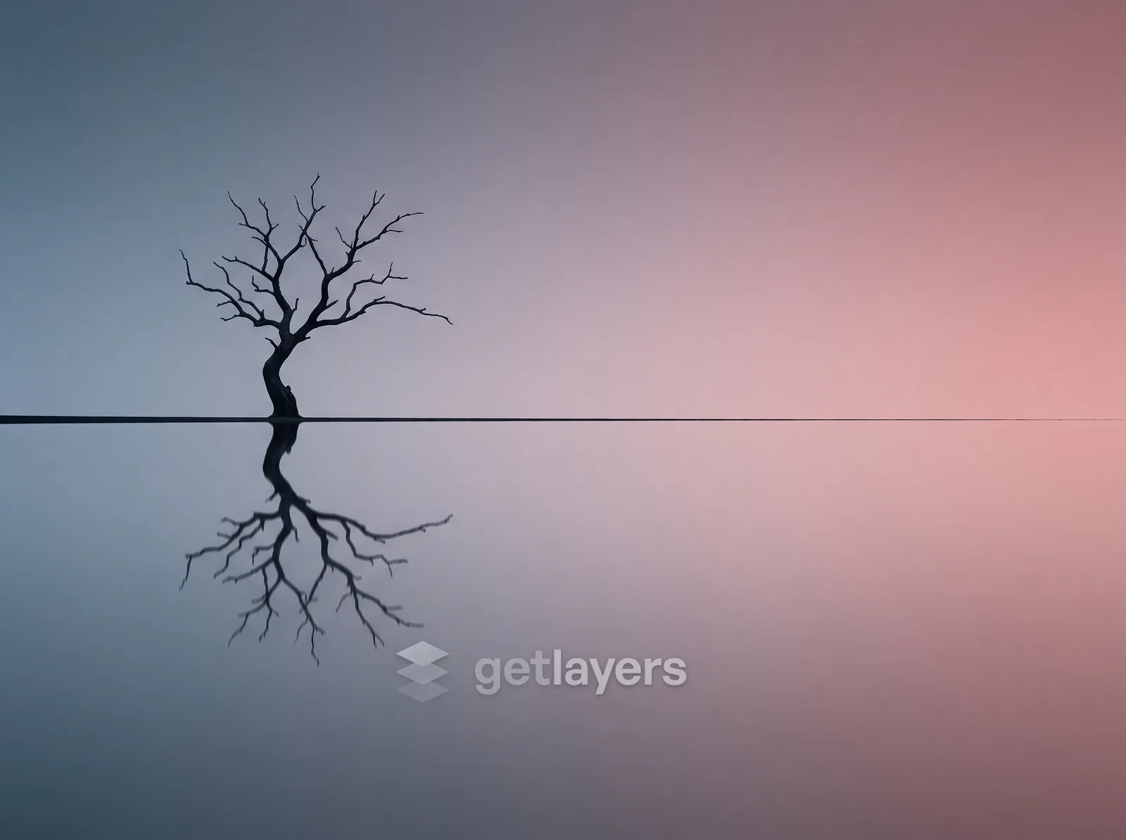 Lone Tree Reflection