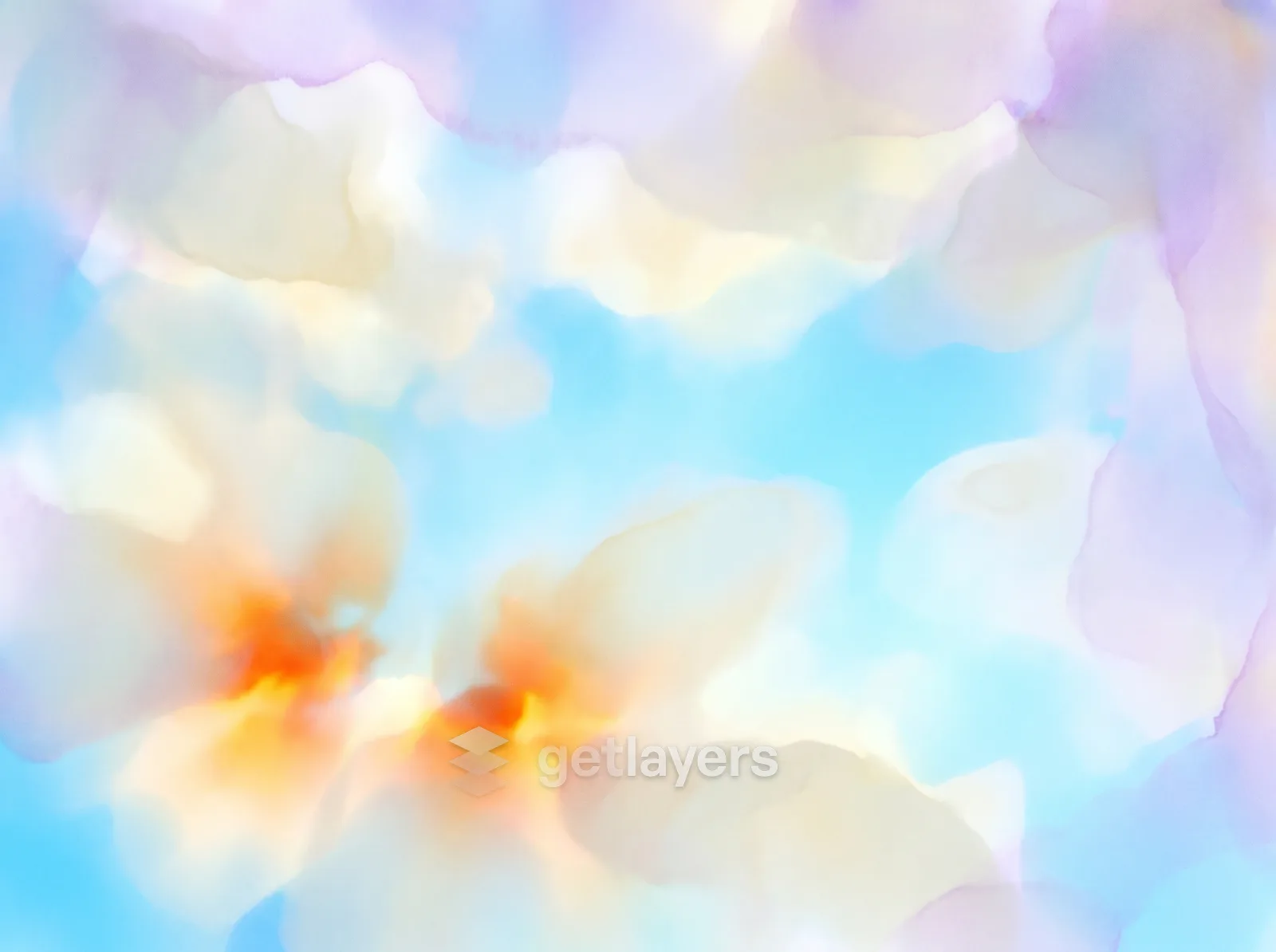 Sky Orange Blossoms
